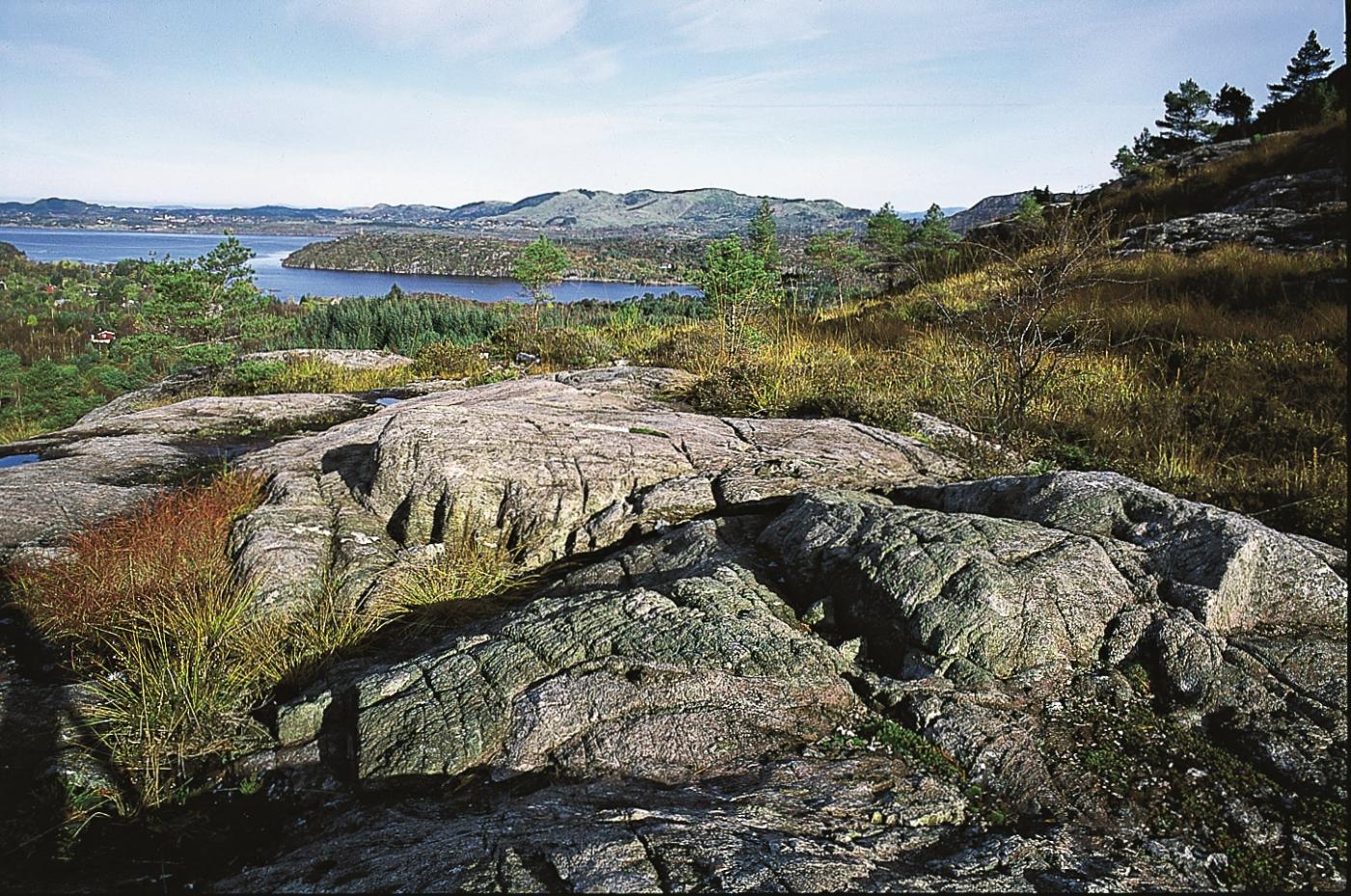 Eclogite bedrock at Ådnefjellet.
